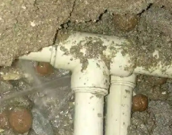 将乐测漏水多少钱