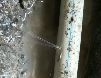 将乐测漏水哪家好