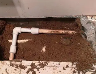 将乐测漏水哪家好