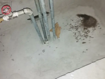 将乐卫生间测漏水价格明细