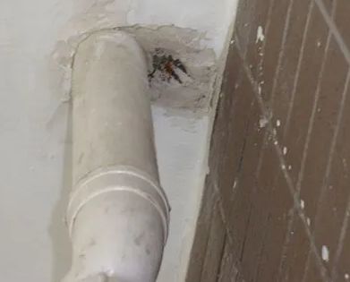 将乐漏水检测哪家好